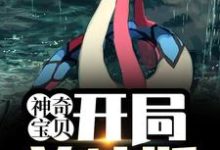 神奇宝贝:开局美纳斯(叶寻)在线免费阅读-书格格