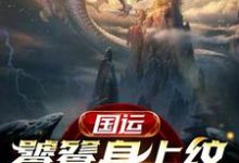 叶枫饕餮小说在线章节免费阅读(国运:饕餮身上纹,镇守龙国门无弹窗无删减)-书格格