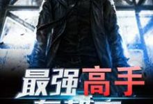 最强高手在都市小说的无弹窗阅读体验,寻找免费阅读网站-书格格