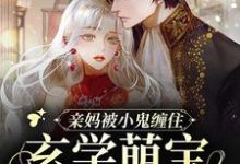 陆司司为主角的小说亲妈被小鬼缠住,玄学萌宝在线画符在线阅读-书格格