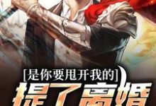 是你要甩开我的,提了离婚你哭啥?这本小说怎么样?免费在线阅读试试-书格格