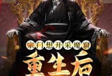 李澈是哪本书的主角？寻找宗门想开采魔窟？重生后我不拦了免费阅读-书格格