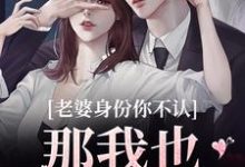 小说《老婆身份你不认？那我也不要你了》章节免费阅读-书格格