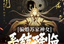 主角南宫辰小说完结版在线阅读，骗婚苏家神女，系统降临上古神瞳免费看-书格格