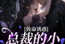 致命诱惑:总裁的小娇妻被独宠傅辰笙沈漓小说在线章节免费阅读-书格格