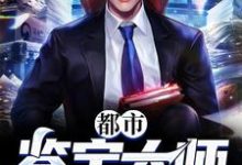 求都市鉴宝大师小说的全文免费阅读链接-书格格