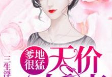 爹地很猛：天价小娇妻小说有没有完整的免费版本在线阅读？-书格格