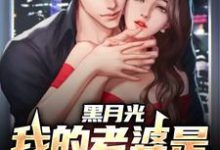 男女主人公宋轻尘小说黑月光:我的老婆是财阀大小姐章节免费阅读-书格格