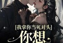 求我拿你当死对头,你想钻我被窝?小说的全文免费阅读链接-书格格