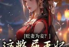 贬妻为妾?这憋屈王妃我不当了免费阅读,贬妻为妾?这憋屈王妃我不当了章节目录-书格格