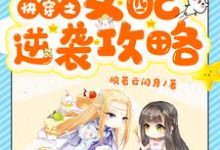 快穿之女配逆袭攻略小说的免费电子版在哪里可以下载或阅读?-书格格