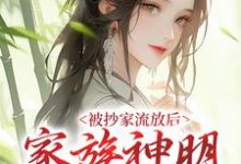 小说《被抄家流放后,家族神明来救场!》在线章节阅读-书格格