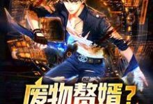 《废物赘婿?不,我是战狼!》全集免费在线阅读(苏辰夏若曦)-书格格