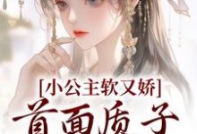小公主软又娇,首面质子把持不住小说有没有完整的免费版本在线阅读?-书格格