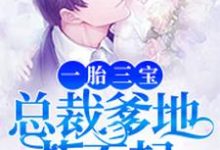 想读莫小菲李衍禹妖孽的故事,哪里可以免费找到一胎三宝,总裁爹地惹不起?-书格格
