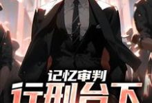 《记忆审判:行刑台下,看哭众人》全集免费在线阅读(石岩)-书格格
