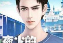 已完结小说《夜少的追妻路》章节在线阅读-书格格
