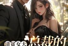 《清贫女大,总裁的心头宝》小说大结局免费试读 宋晚意沈煜洵小说-书格格
