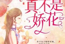 顾轻舟司行霈的完整故事在哪里?读少帅,夫人真不是娇花!小说-书格格