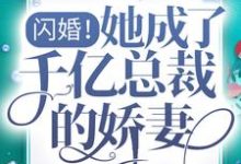 闪婚!她成了千亿总裁的娇妻主角柳小羽陆云廷小说完结版章节在线阅读-书格格