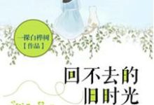 林小念顾北城白雅小说《回不去的旧时光》在线阅读-书格格