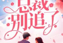 求推荐可以免费阅读夫人改嫁了,总裁别追了!小说的网站-书格格