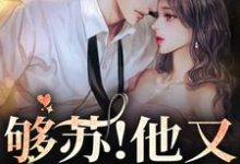 够苏!他又欲又野最新章节,够苏!他又欲又野章节在线阅读-书格格
