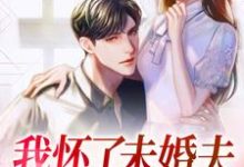 免费看我怀了未婚夫哥哥的孩子小说的网站有哪些?-书格格