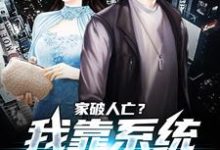 《家破人亡?我靠系统儿孙满堂》小说大结局免费试读 许良小说-书格格
