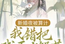 新婚夜被算计,我错把残王当解药这本小说完结了吗?免费查看最新章节-书格格