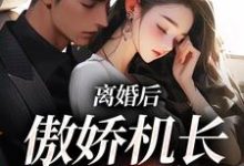 离婚后,傲娇机长求复合小说的免费阅读版本在哪里可以找到?-书格格