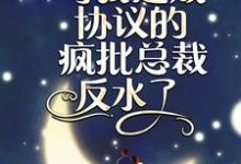 完整版的闪婚夜,与我达成协议的疯批总裁反水了小说在哪里可以免费读到?-书格格