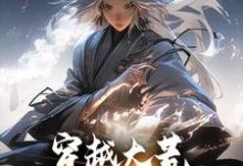 小说《穿越大荒:开局被姨娘挖骨》章节免费阅读-书格格