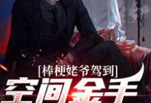 完结版《棒梗姥爷驾到,空间金手指开启!》在线免费阅读-书格格