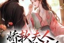 娇软夫人不再撒娇后,侯爷他慌了这本小说怎么样?免费在线阅读试试-书格格