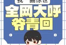 徐坤小说叫什么(我一曲惊世,全网大呼爷青回免费阅读)-书格格