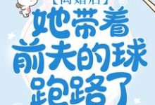 在线寻找 林湘程修齐的小说，离婚后，她带着前夫的球跑路了免费阅读-书格格
