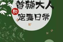 首辅大人的宠妻日常小说免费资源,首辅大人的宠妻日常在线阅读-书格格