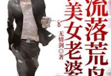 杨宇沈思瑶是哪本书的主角?和美女老婆流落荒岛免费读-书格格