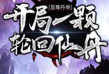 免费看至尊丹帝:开局一颗轮回仙丹小说的网站有哪些?-书格格