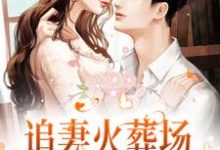 《追妻火葬场!狗男人被虐惨啦》小说章节在线试读,《追妻火葬场!狗男人被虐惨啦》最新章节目录-书格格