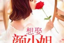 想娶颜小姐为妻这本小说完结了吗？免费查看最新章节-书格格