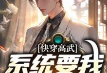 快穿高武:系统要我做舔狗主角宁风小说完结版章节在线阅读-书格格