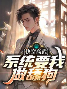 快穿高武：系统要我做舔狗主角宁风小说完结版章节在线阅读