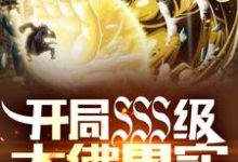 主人公陈叶小说开局SSS级大佛果实,震惊世界在线章节阅读-书格格