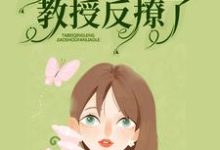 小说《暗恋无果后，她被清冷教授反撩了》章节免费阅读-书格格