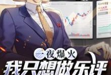 陆清小说在线章节免费阅读(一夜爆火!我只想做乐评人你们信吗无弹窗无删减)-书格格