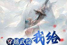 穿越武综,我给邀月解毒林凡在线章节免费阅读-书格格