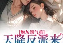 求南浔小说免费资源-书格格