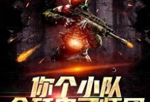 主角秦风冷越小说完结版在线阅读,你个小队全歼鬼子师团,凭什么?免费看-书格格